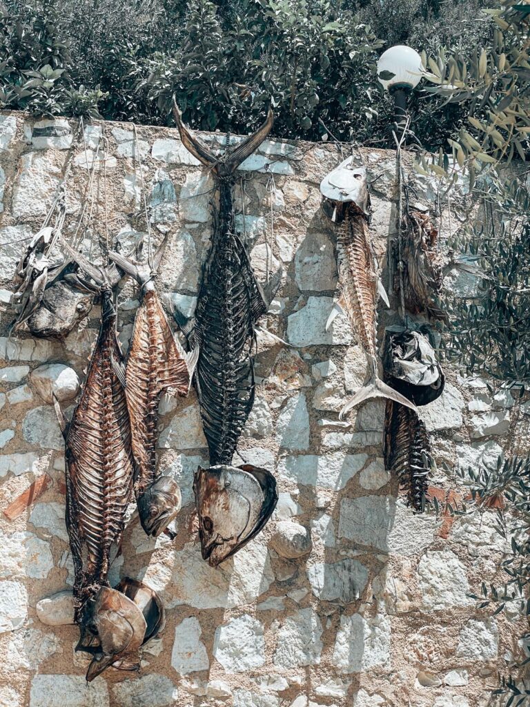 Dried fish hanging at a roadside stand near Vlora, capturing an authentic food moment often experienced on an ultimate Albania Itinarary.