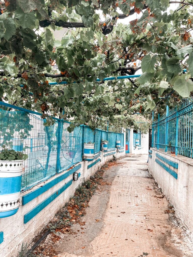 Walking down a narrow cobblestone street in Himara town lined with whitewashed houses and colorful shutters. Charming village scene often explored on an Albania road trip along the Riviera.