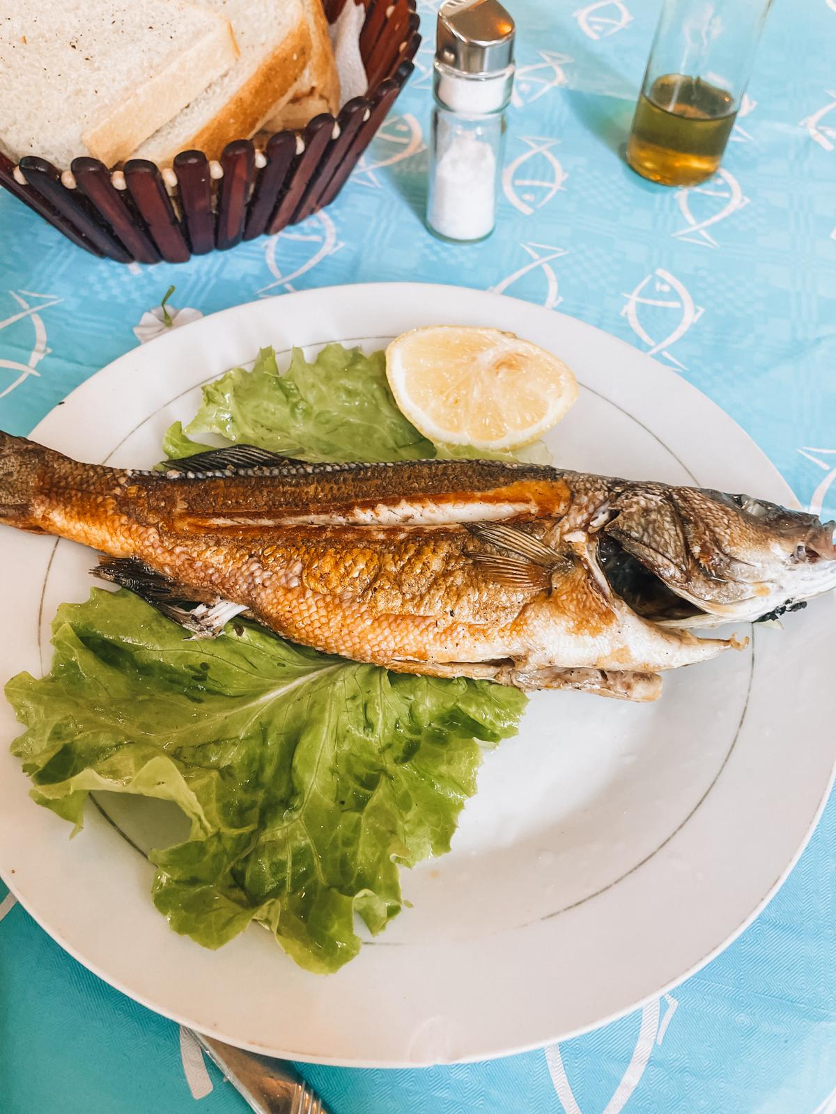 Alt text: Grilled whole fish served on a white plate with lemon wedges and fresh herbs at a seaside restaurant in Albania. A simple seafood dish commonly enjoyed while following a foodie itinerary in Albania along the Adriatic coast.