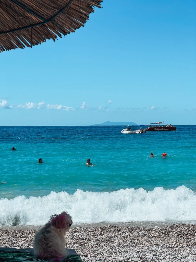 Jala Beach stretches along the Albanian Riviera with clear turquoise water and rugged hills framing the shoreline. The vibrant coastal scenery highlights a popular stop on a 7 days in Albania itinerary.