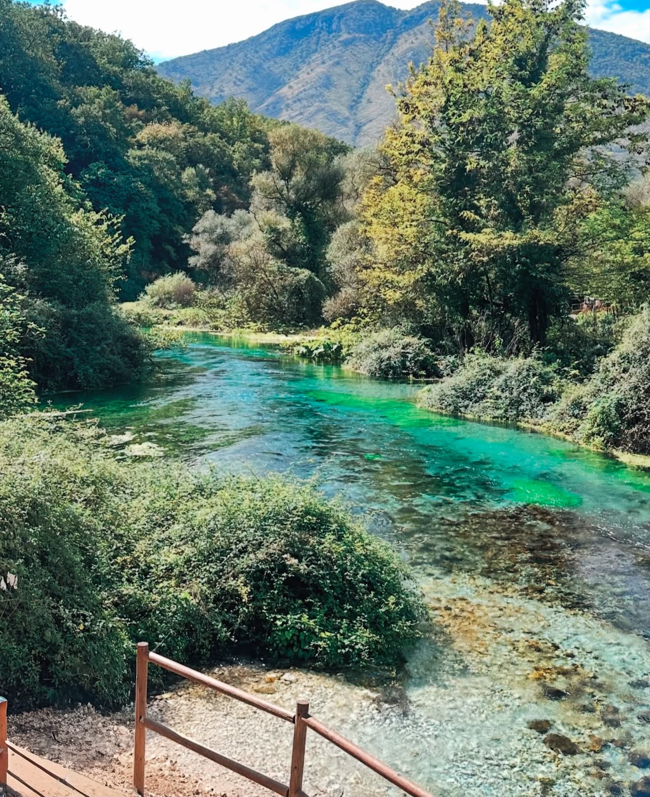 Forested area surrounding The Blue Eye Saranda with walking paths, wooden railings, and dense greenery leading visitors toward the natural spring. The protected nature zone provides a peaceful setting with clear streams and shaded woodland.
