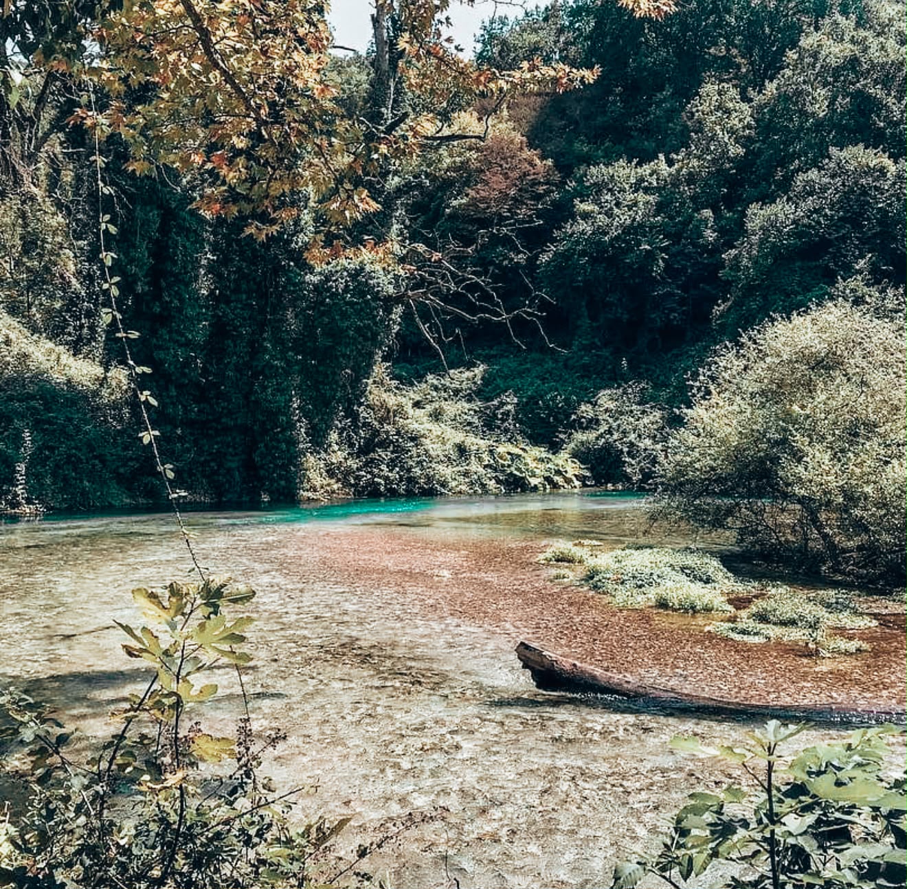 Scenic view of the park surrounding The Blue Eye Saranda with lush forest, walking paths, and the vibrant blue spring nestled among the trees. The peaceful landscape showcases the natural beauty of this protected attraction.