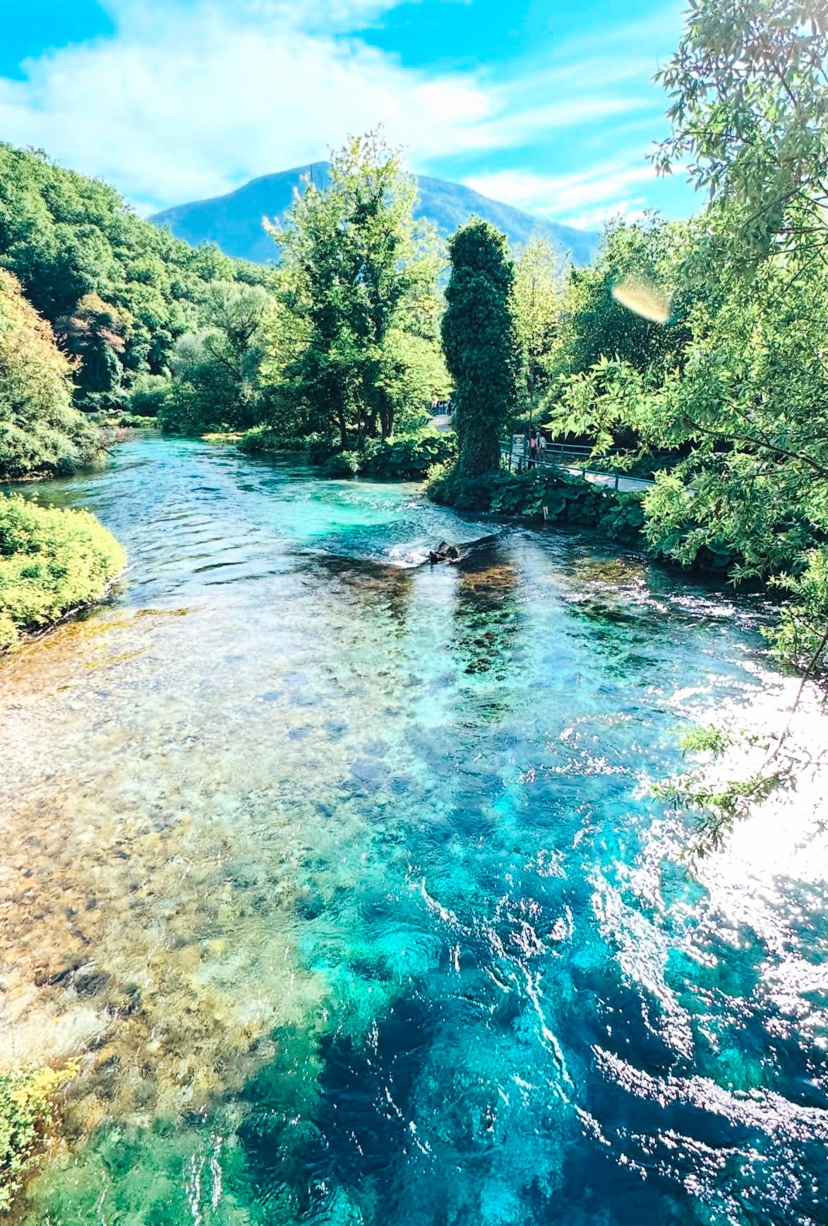 Tree lined walking path through the park surrounding The Blue Eye Saranda with lush greenery and shaded picnic areas. The peaceful natural setting offers visitors a scenic route to the famous spring.