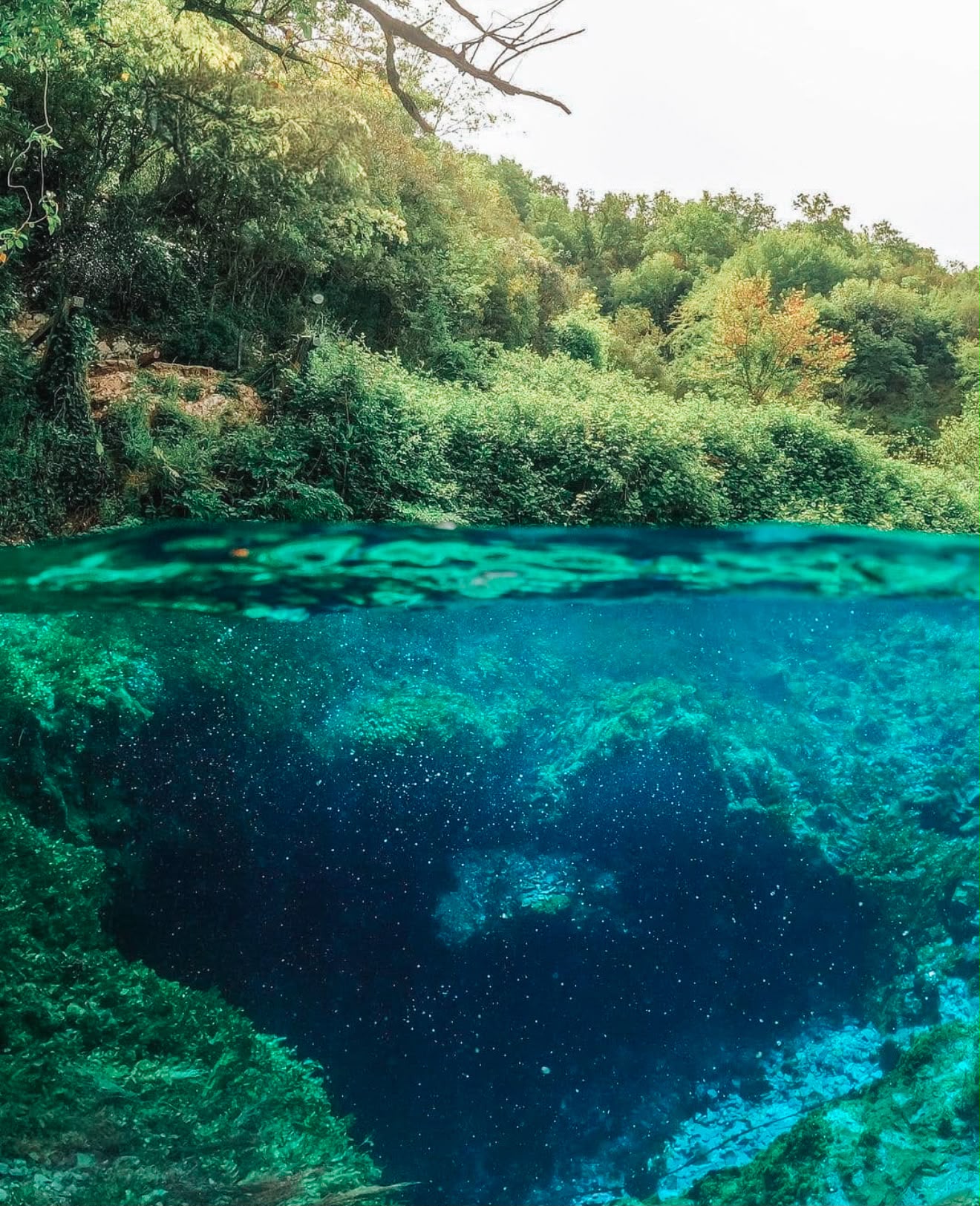 The Blue Eye Saranda with its deep sapphire blue center fading into bright turquoise water surrounded by lush green forest. Crystal clear water reveals the dramatic natural spring that makes this destination one of southern Albania's most recognizable landmarks.